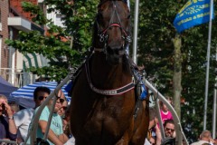 Zomerfestival.IJmuiden-2024-Fiona-Donderdag-18-juli-2024-2427